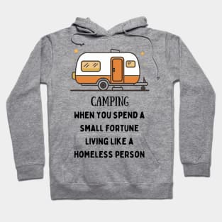 Camping, When You Spend A Small Fortune Hoodie